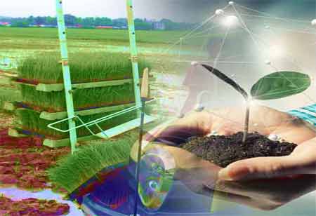 The Support of Education Consulting in Empowering Students with Learning Differences